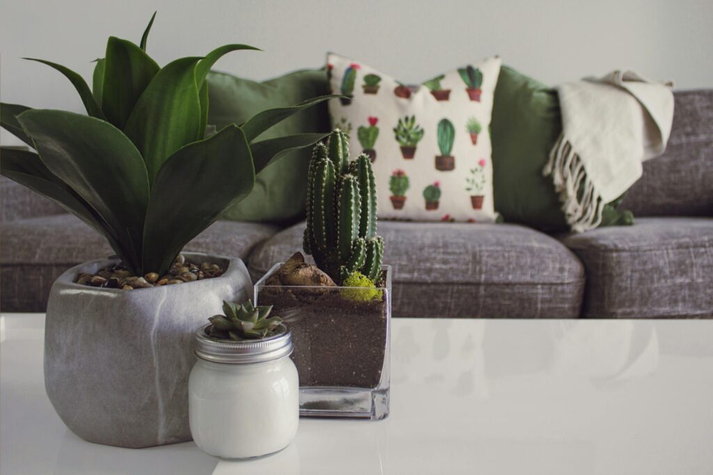 design a therapy office