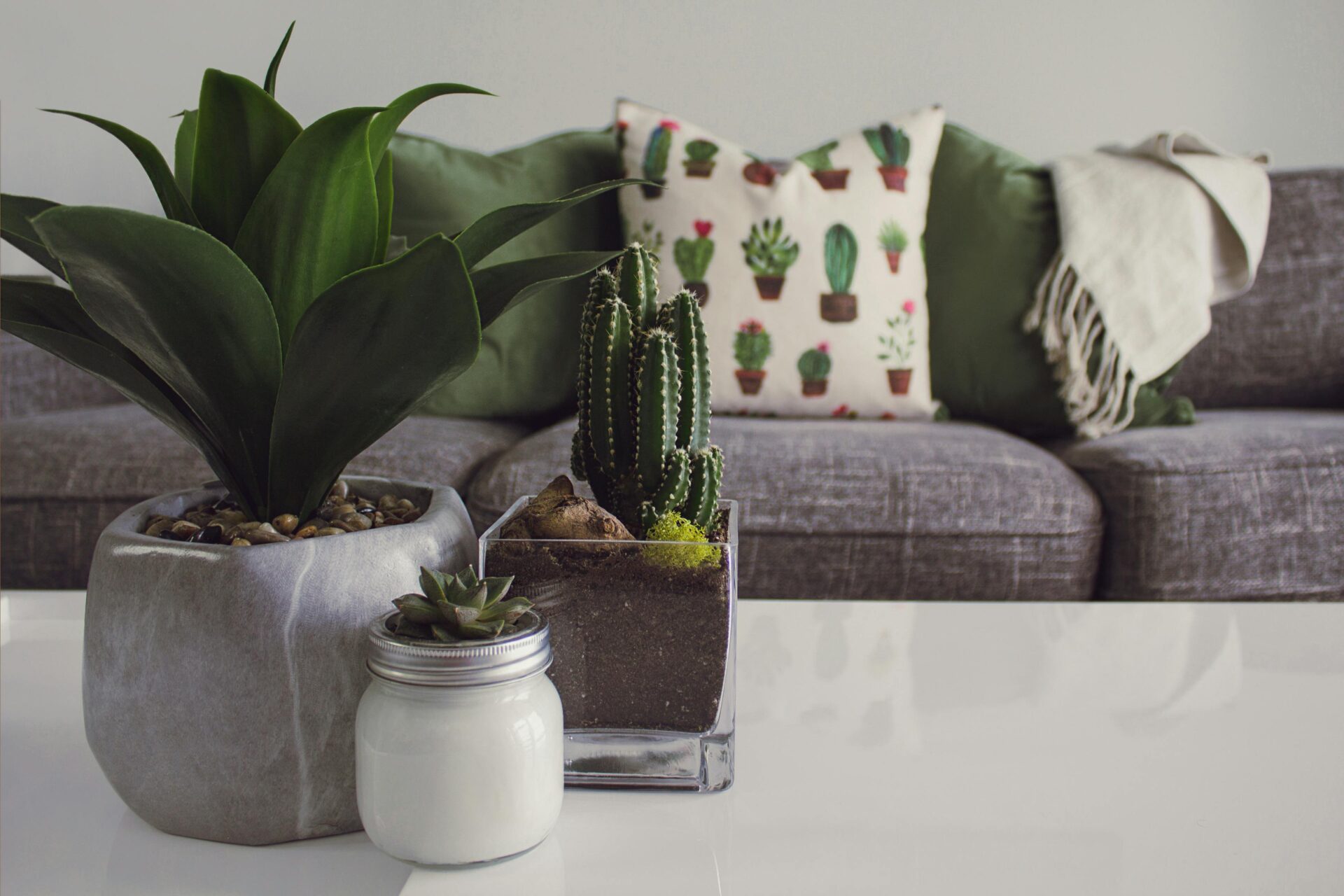design a therapy office